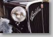 Fiat Ballila 25